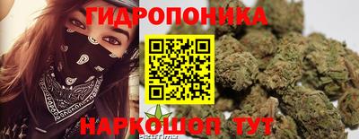 крисы Тула