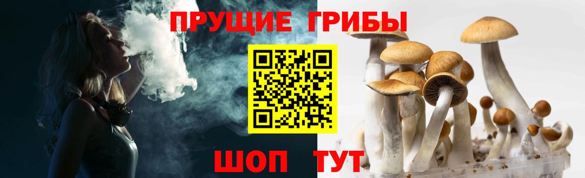 Галлюциногенные грибы мицелий  Псилоцибиновые грибы мухоморы  дарнет шоп  Борзя  Вход с VPN 